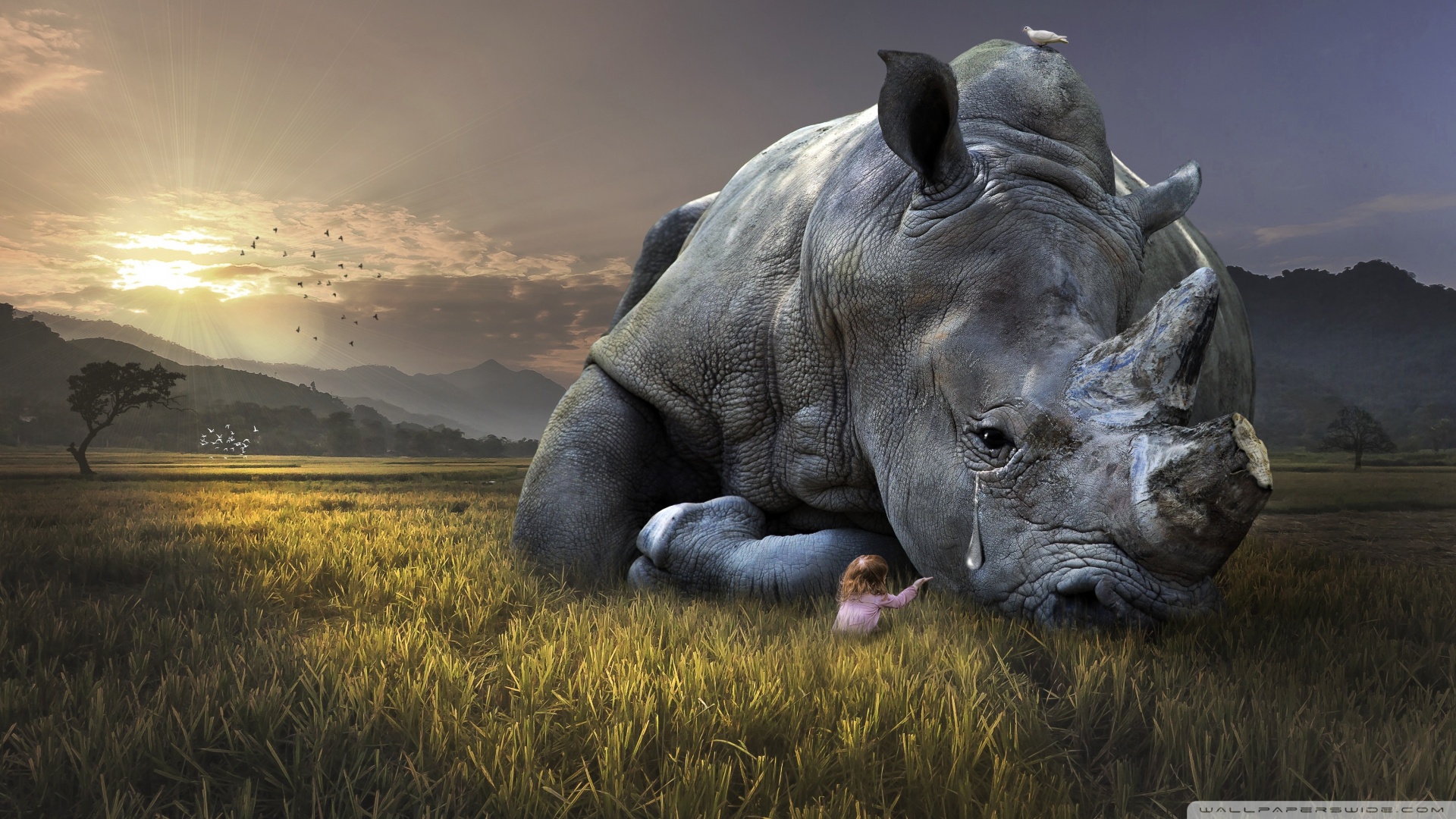 save_the_animals_save_the_earth-wallpaper-1920x1080.jpg