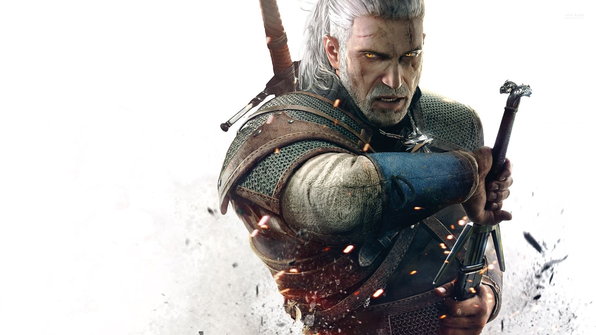 the-witcher-3-wild-hunt-31031-1920x1080.jpg