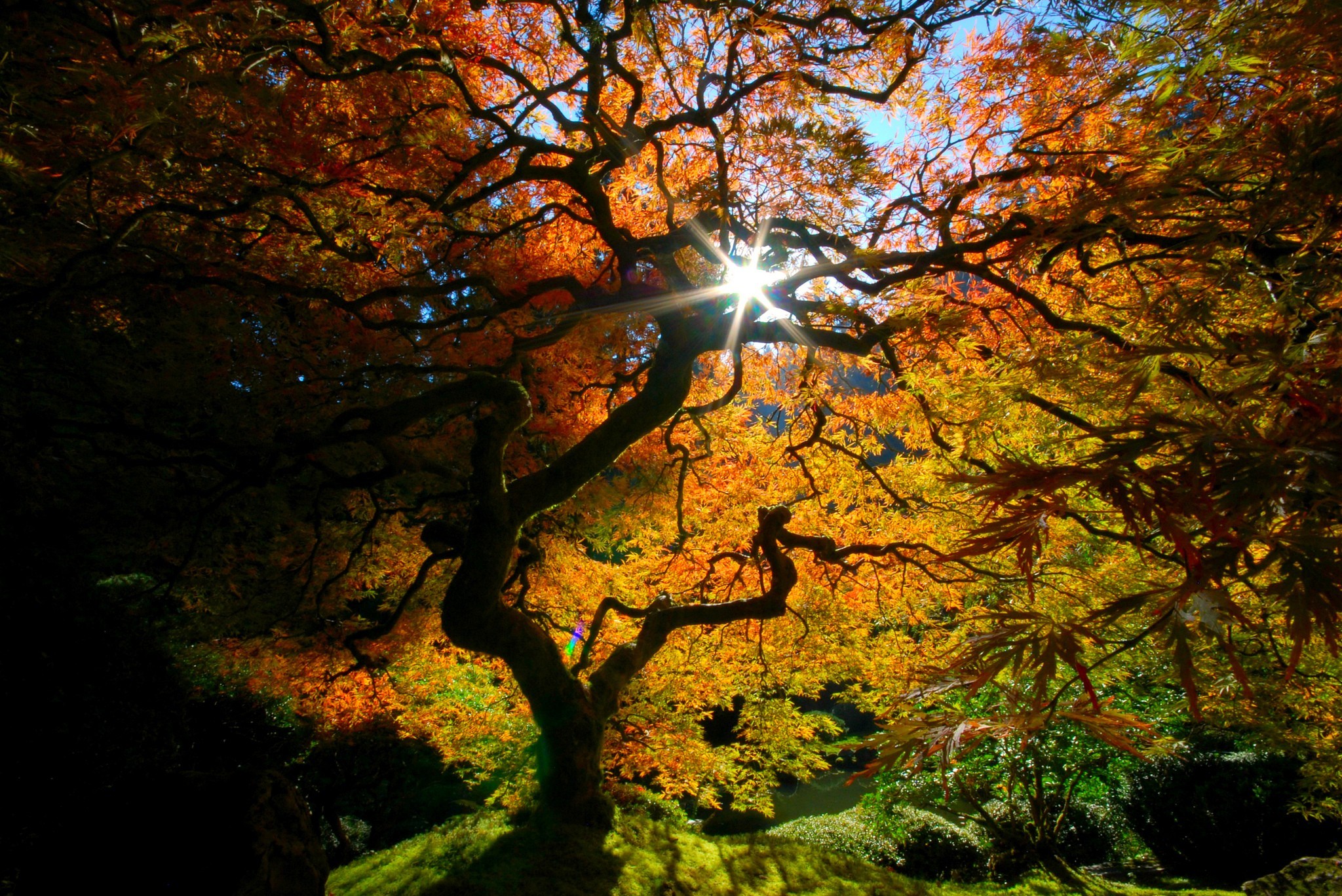 Beautiful And Amazing Autumn Wallpapers Pack-2 (10).jpg