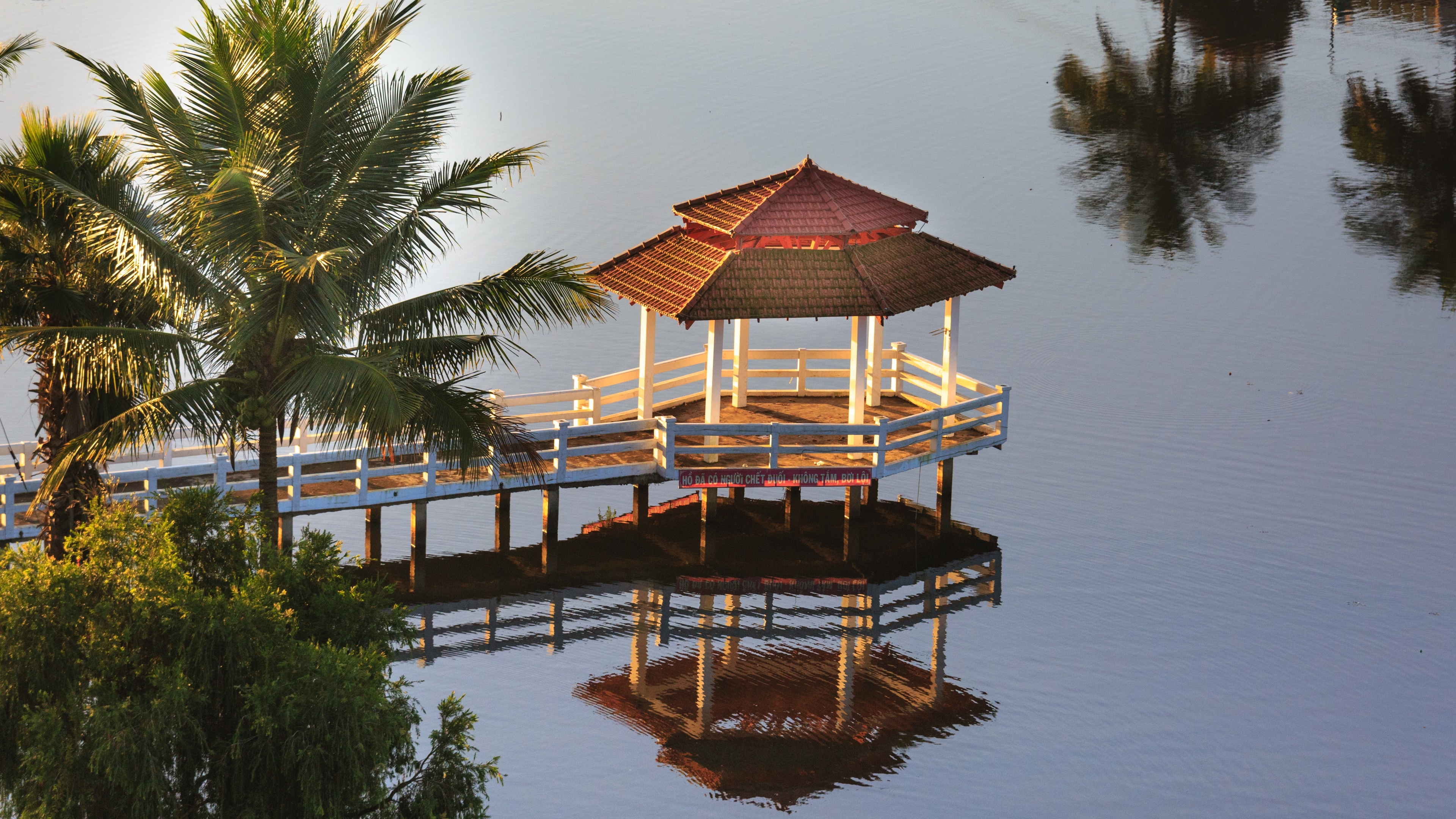 4k-wallpaper-calm-waters-coconut-tree-2138016.jpg