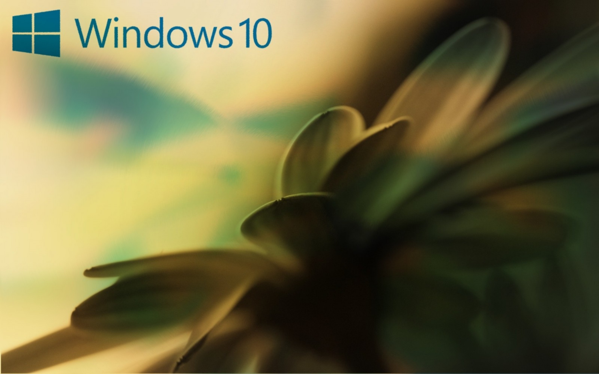 Windows_10_1920x1200.jpg