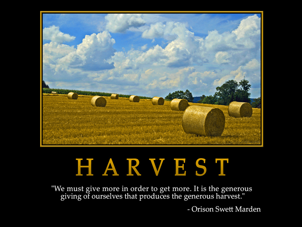 0051-harvest_1024x768.jpg