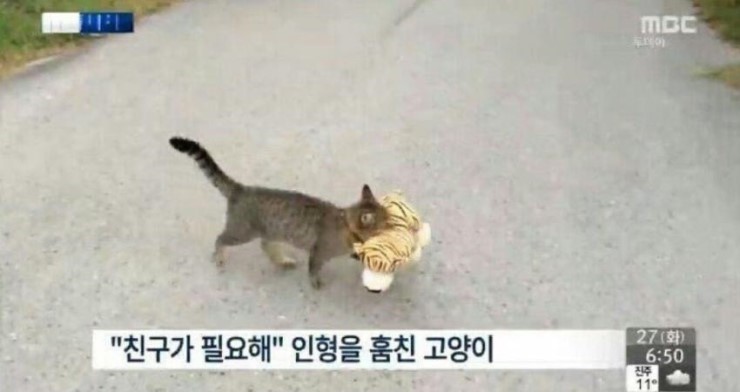 친구가 필요했던 떼걸룩.jpg