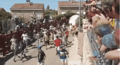 동물 보호 단체 항의로 소 대신 250짜리 공으로 굴림 스페인 투우축제근황.gif