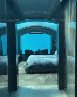 몰디브 수중 호텔.gif