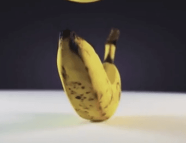 바나나의 탄력성.gif