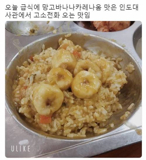 급식으로 나온 카레.jpg