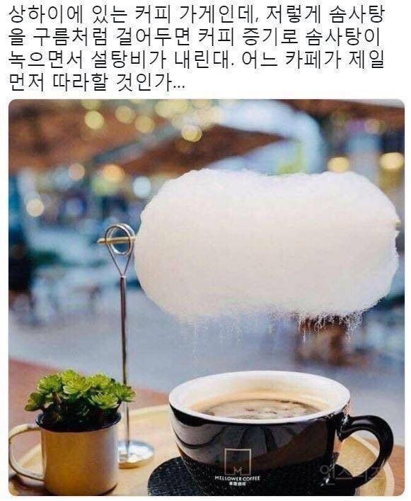 웬지 한국 커피전문점에 생길거같은 커피.jpg