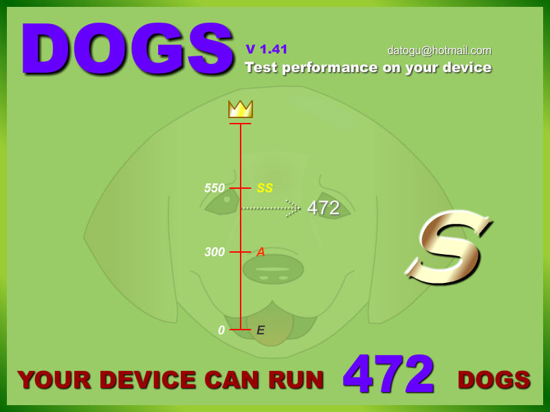 dogs_test.jpg