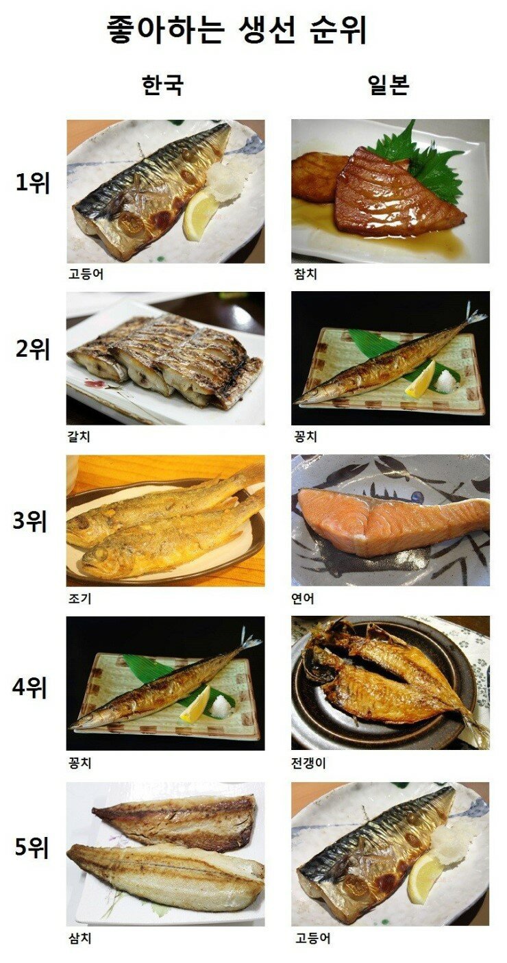 한국,일본인들이 각각 선호하는 생선 순위.jpg