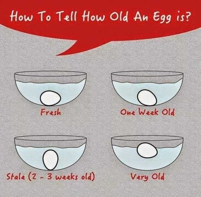 오래된 달걀 확인법.jpg