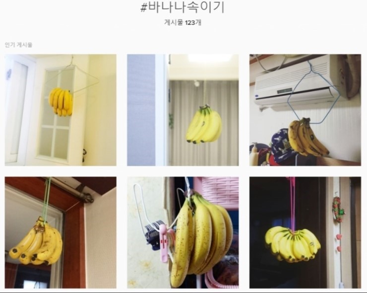 바나나를 오래 보관하는 방법.jpg