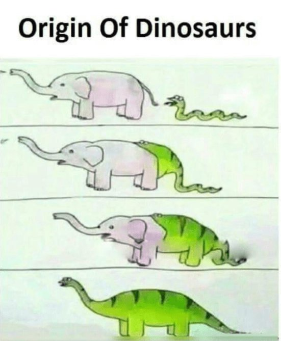 공룡 진화의 진실.....png
