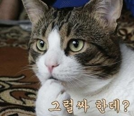 그럴싸한데.jpg