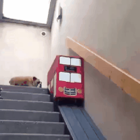 엔지니어가 집에 설치한버스 계단을 너무무서워 하길래.gif