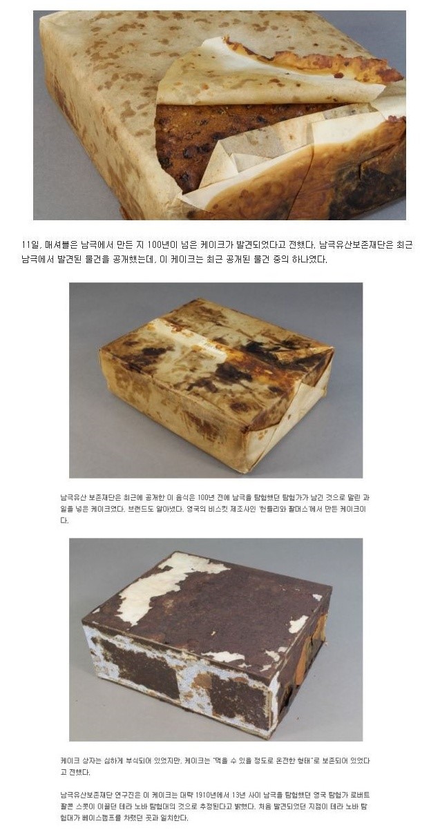 남극에서 발견된 100년된 케익.jpg