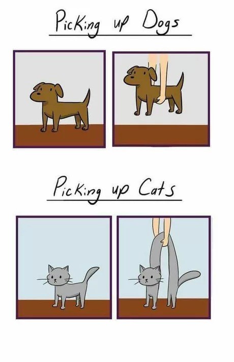 개와 고양이의 차이.jpg