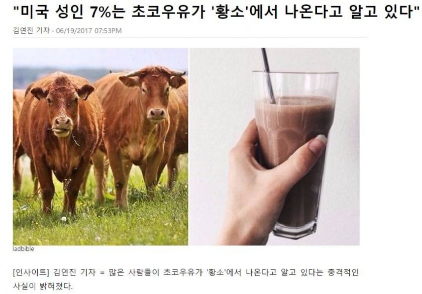 초코우유의 비밀1.jpg