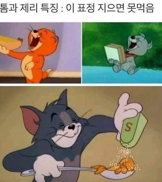 톰과 제리 패배 플래그.jpg