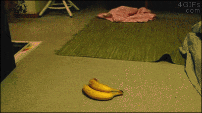 바나나의 초능력.jpg
