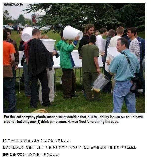 야유회에서 술은 딱 한잔만 허용한 회사1.jpg