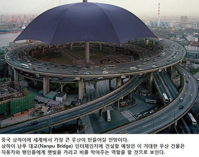 대륙의 흔한 우산.jpg