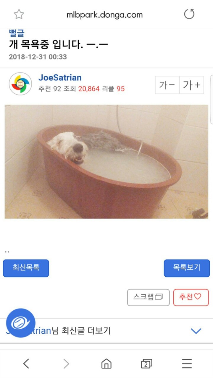 개_목욕시키는_엠팍유저.jpg