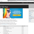 Adobe Flash Player 29.0.0.113.PNG