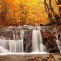 Beautiful And Amazing Autumn Wallpapers Pack-2 (1).jpg