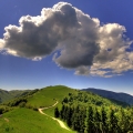 cloud_volume_sky_blue_track_mountains_landscape_clearly_wood_green_61598_1920x1080.jpg