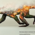 destruction_of_animals_natural_habitats-wallpaper-1920x1080.jpg