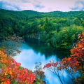 Beautiful And Amazing Autumn Wallpapers Pack-2 (6).jpg