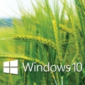 Windows-10-Wallpapers-1920x1080.jpg
