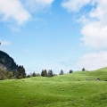 switzerland_mountain_landscape-wallpaper-2560x1440.jpg