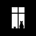 cat_picture_window_silhouette_70090_1920x1080.jpg